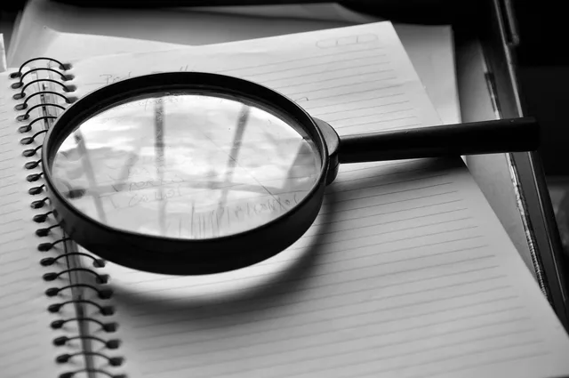 magnifying glass, journal, detail, job, the audit, magnifying glass, magnifying glass, magnifying glass, magnifying glass, magnifying glass. Auditing the current IT setup before buying more tools